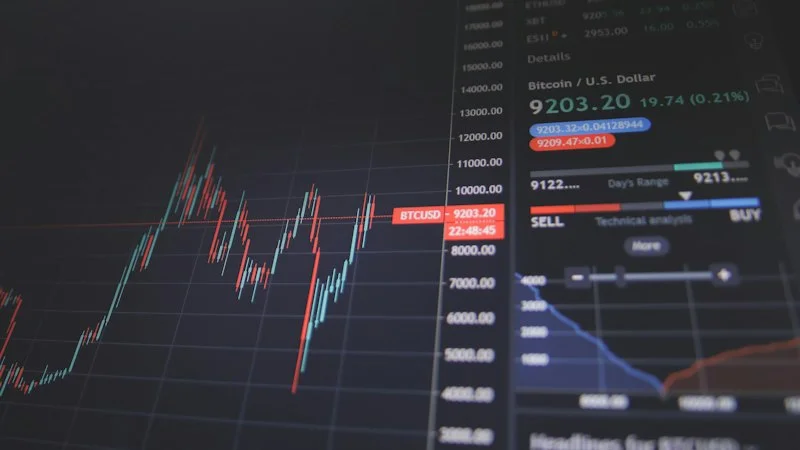 MSc in Sustainability & ESG Management Thumbnail